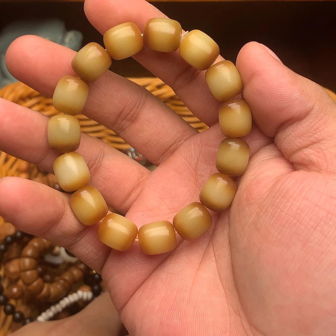 菩提根/象牙果手串