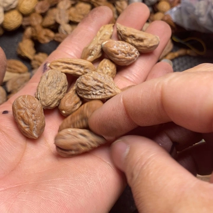 桃核吊坠东北特产179