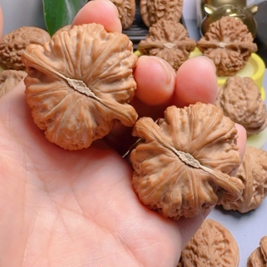 白狮子42尺文玩核桃