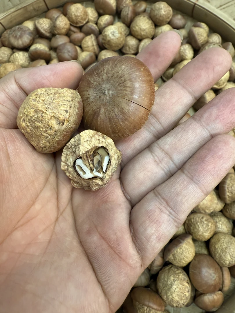 （石头果干货）野生石头果泡9靓货