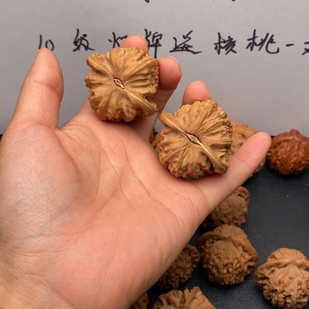 铁***木文玩核桃把件42.9白狮子