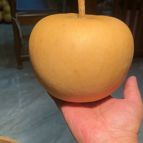 狼**下葫芦葫芦葫芦葫芦