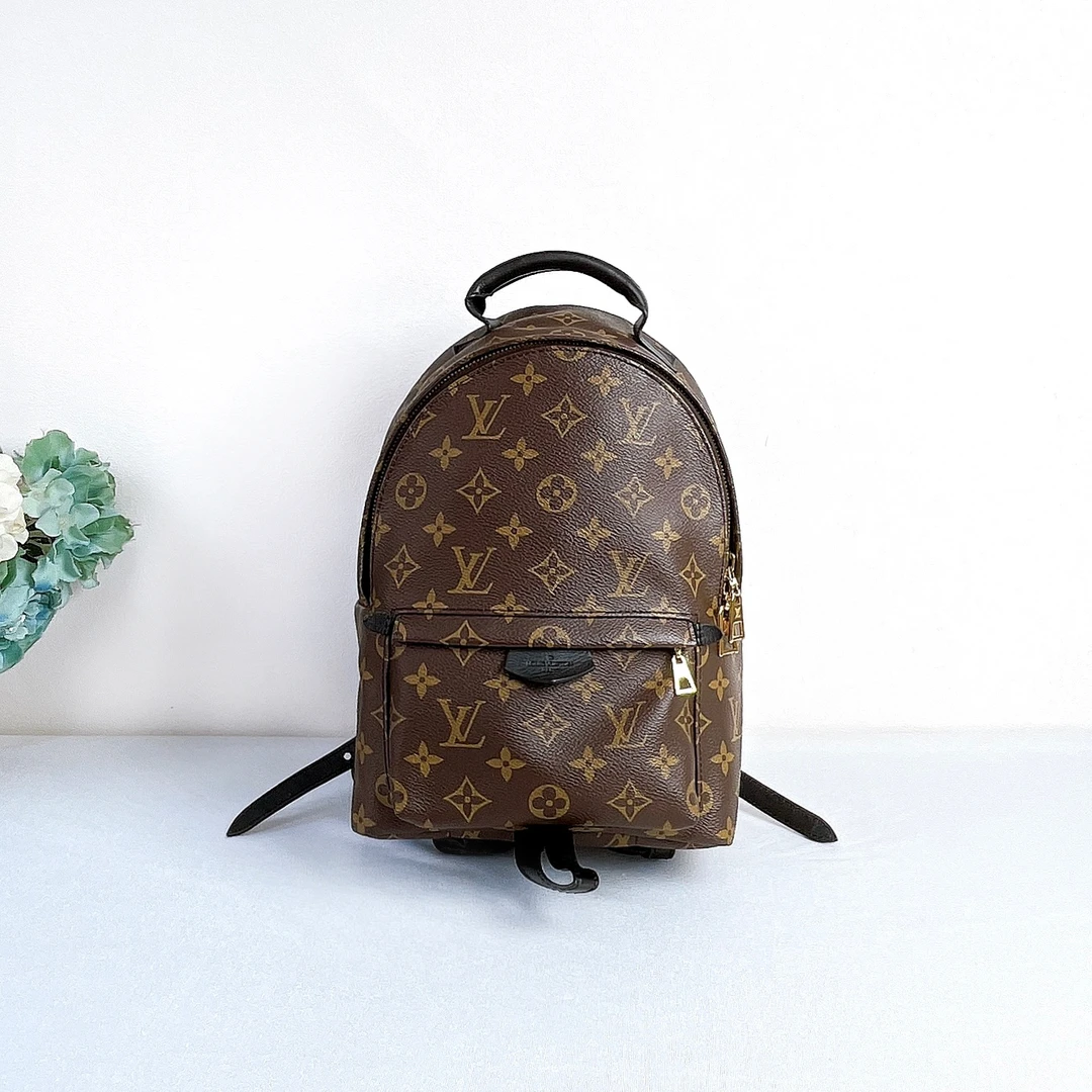 95新 LouisVuitton/路易威登 Palm Springs双肩包/小号/ppk9330