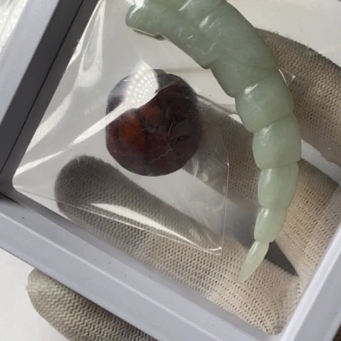 禅***月手串菩提根/象牙果