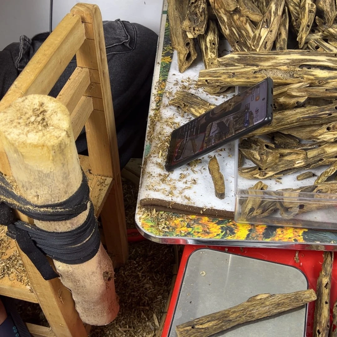 线香奇楠虫漏香20克