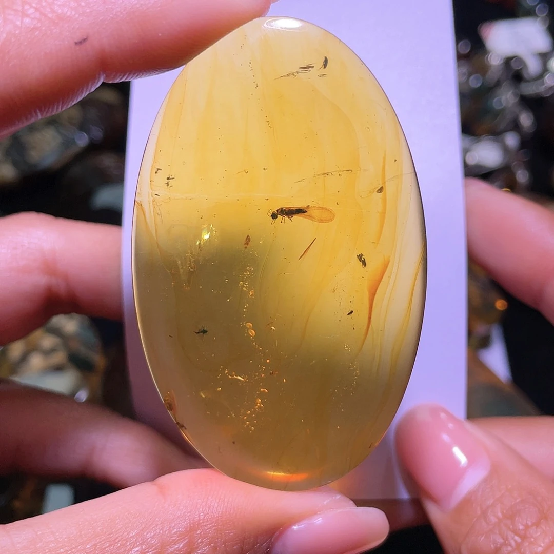 琥珀裸石未镶嵌。