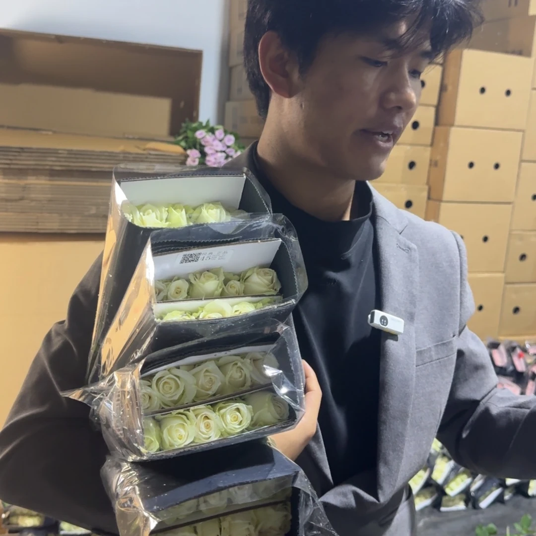 白雪山10扎包邮价秒杀