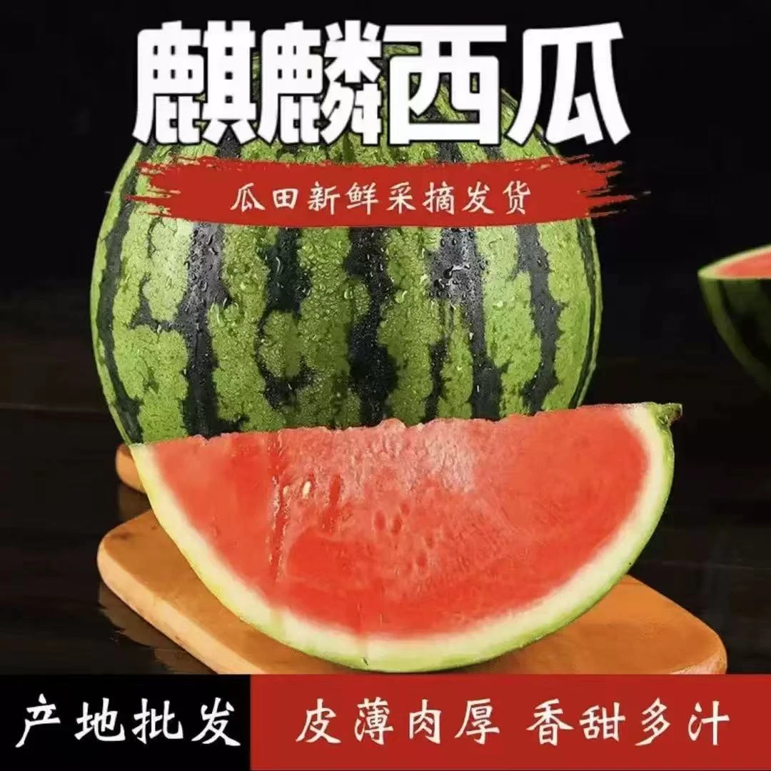 【批发价送勺子】正宗麒麟西瓜产地直发薄皮脆甜红瓤多汁新鲜水果