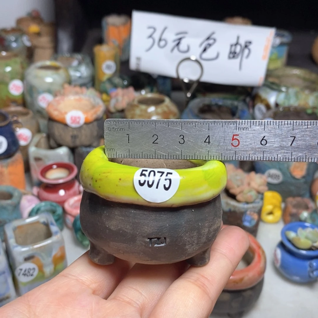 拍3送一个小礼物