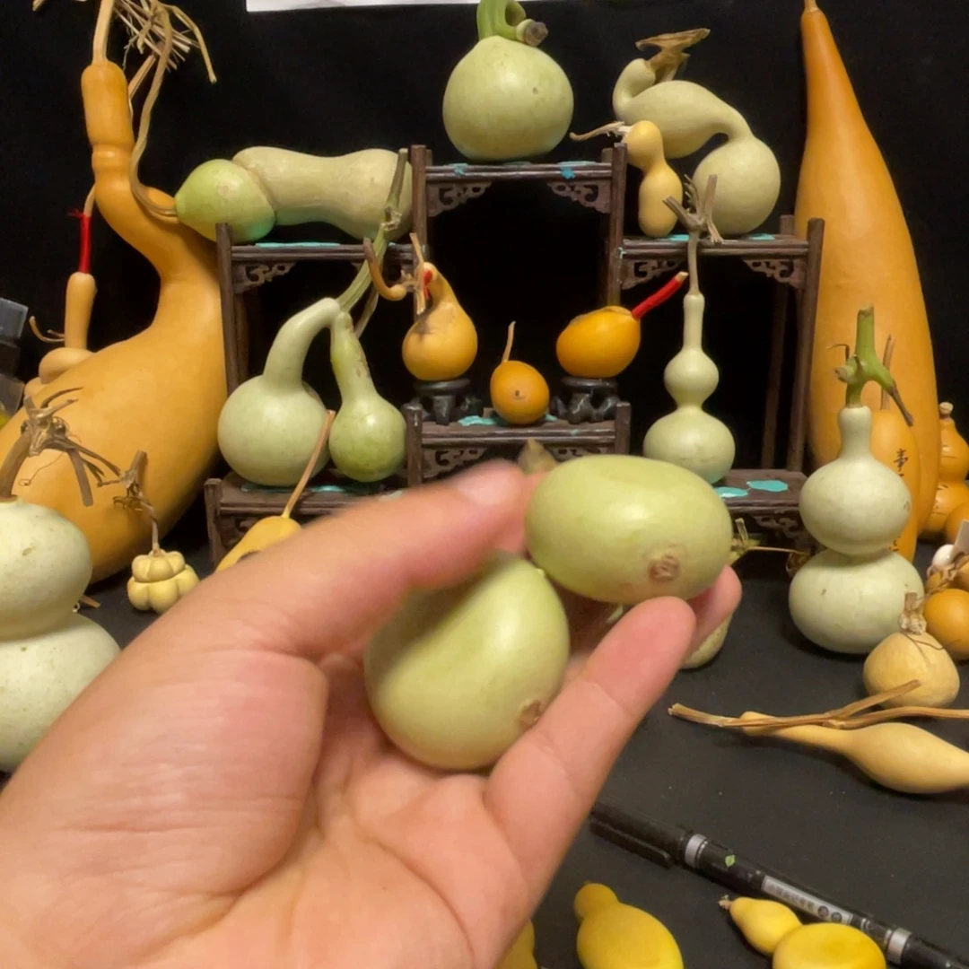 @***正666666666633333333