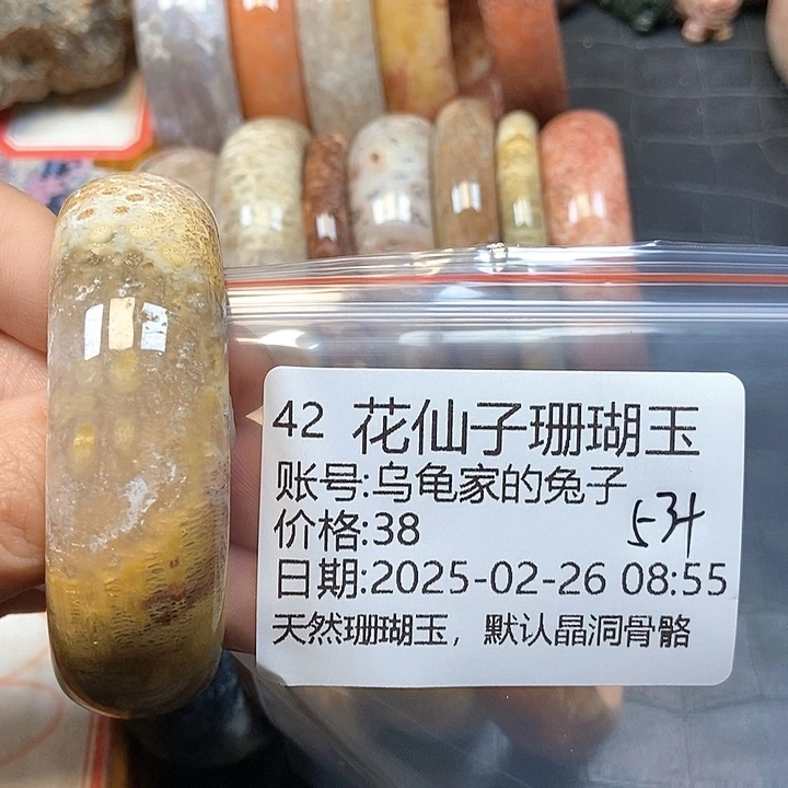 硅化珊瑚（珊瑚玉）手镯未镶嵌乌****子42