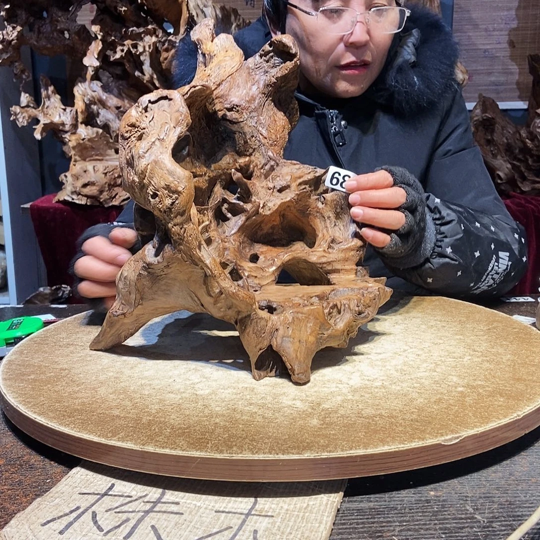 ༺***༻688。株木随行根艺