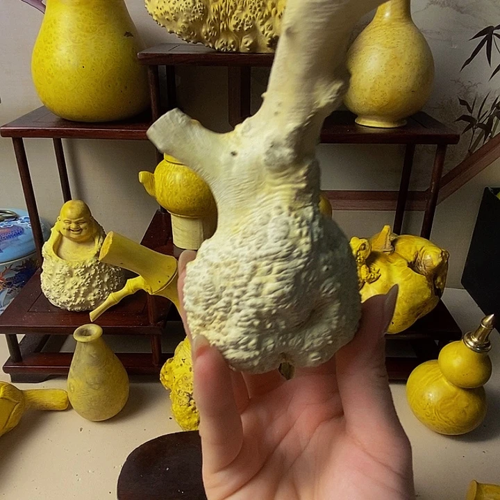 会***饮黄杨木等多种木材