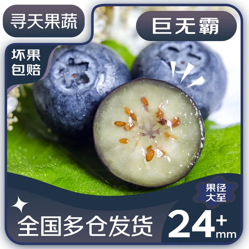 【寻天果蔬】云南蓝莓 125g/盒 1-4盒大蓝莓新鲜应季酸甜可口