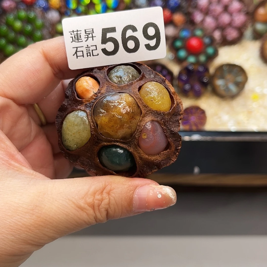 晚***秋核桃木/黑胡桃（胡桃木）569