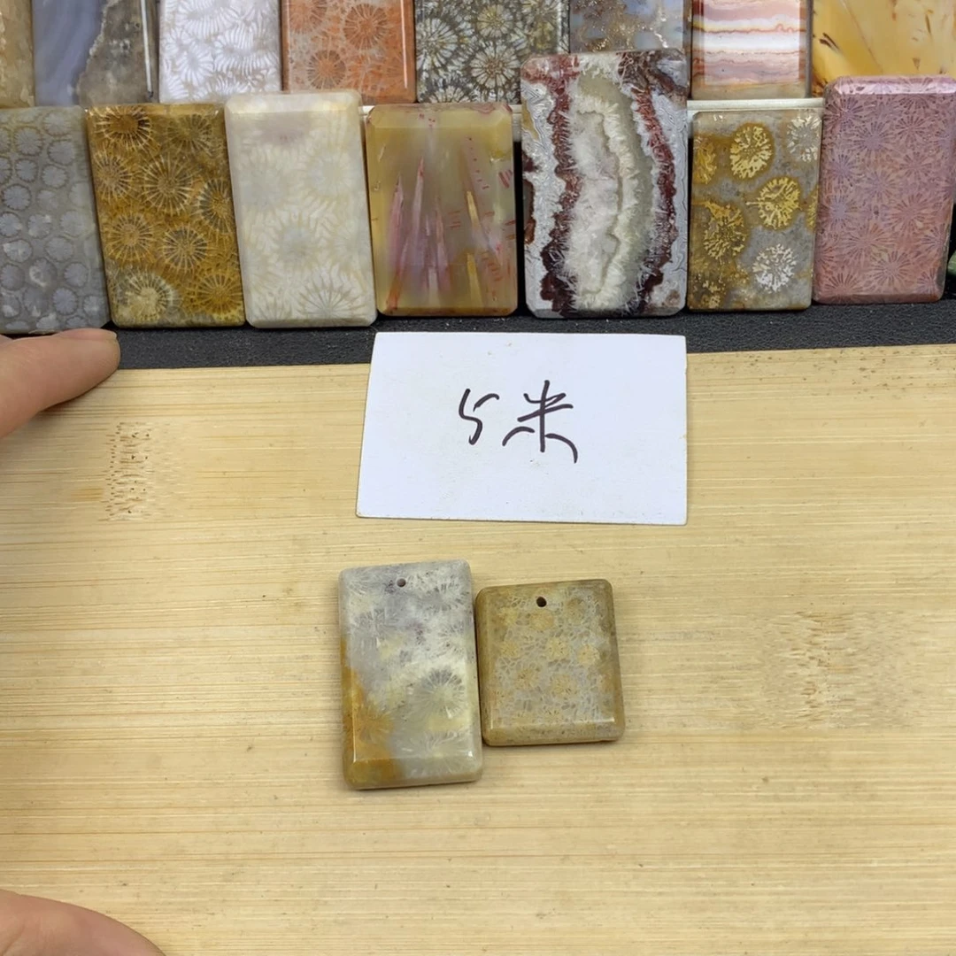 彩***鱼硅化珊瑚（珊瑚玉）未镶嵌珠宝奇石