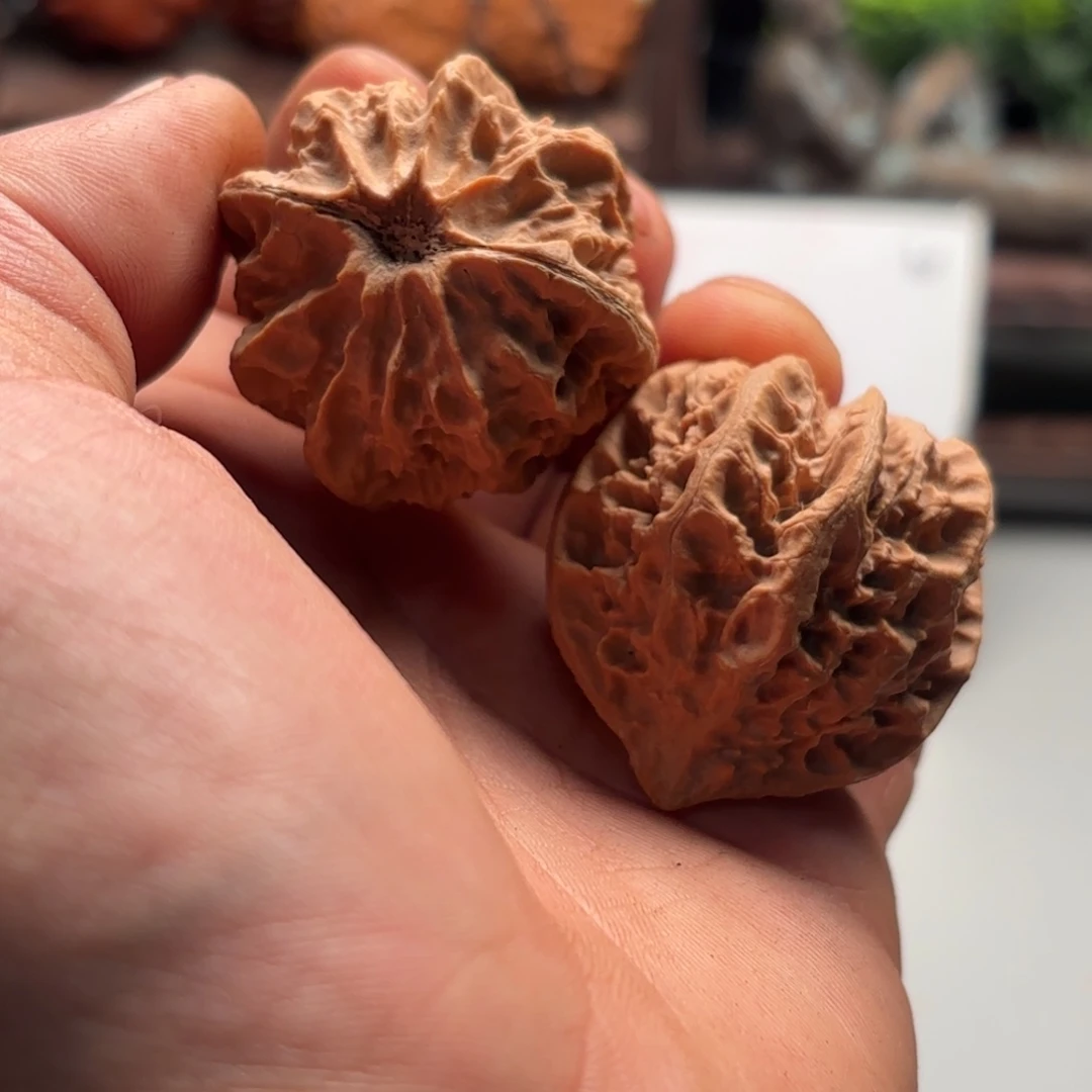 把件文玩核桃小楸百核46
