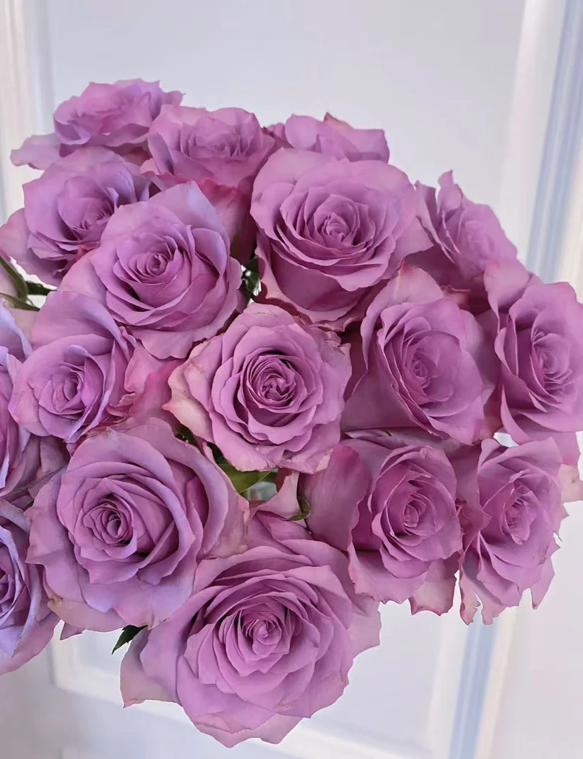 【AB级-紫霞仙子20支】鲜花任意满2单发顺丰或德邦送货上门云南鲜花