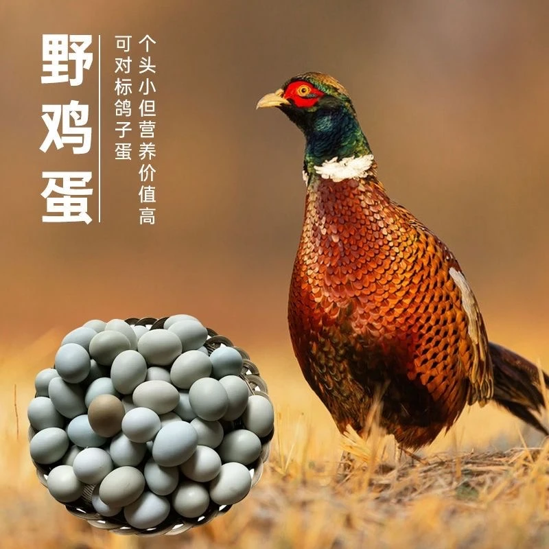农家散养七彩山鸡蛋新鲜营养蛋清嫩蛋黄大适合早餐辅食
