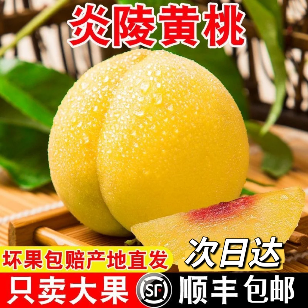 【5斤大果】正宗湖南炎陵黄桃现摘现发新鲜水果5斤装孕妇当季高山锦绣桃子大果整箱送礼必备包邮送货上门湖南省