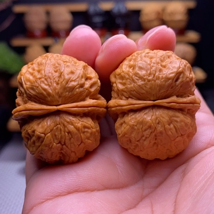 木质类云铁仙人翁元宝8号