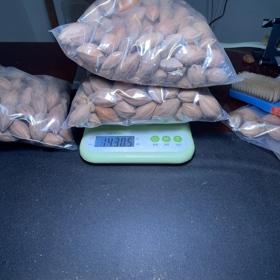 ****️橄榄核吊坠不退不换