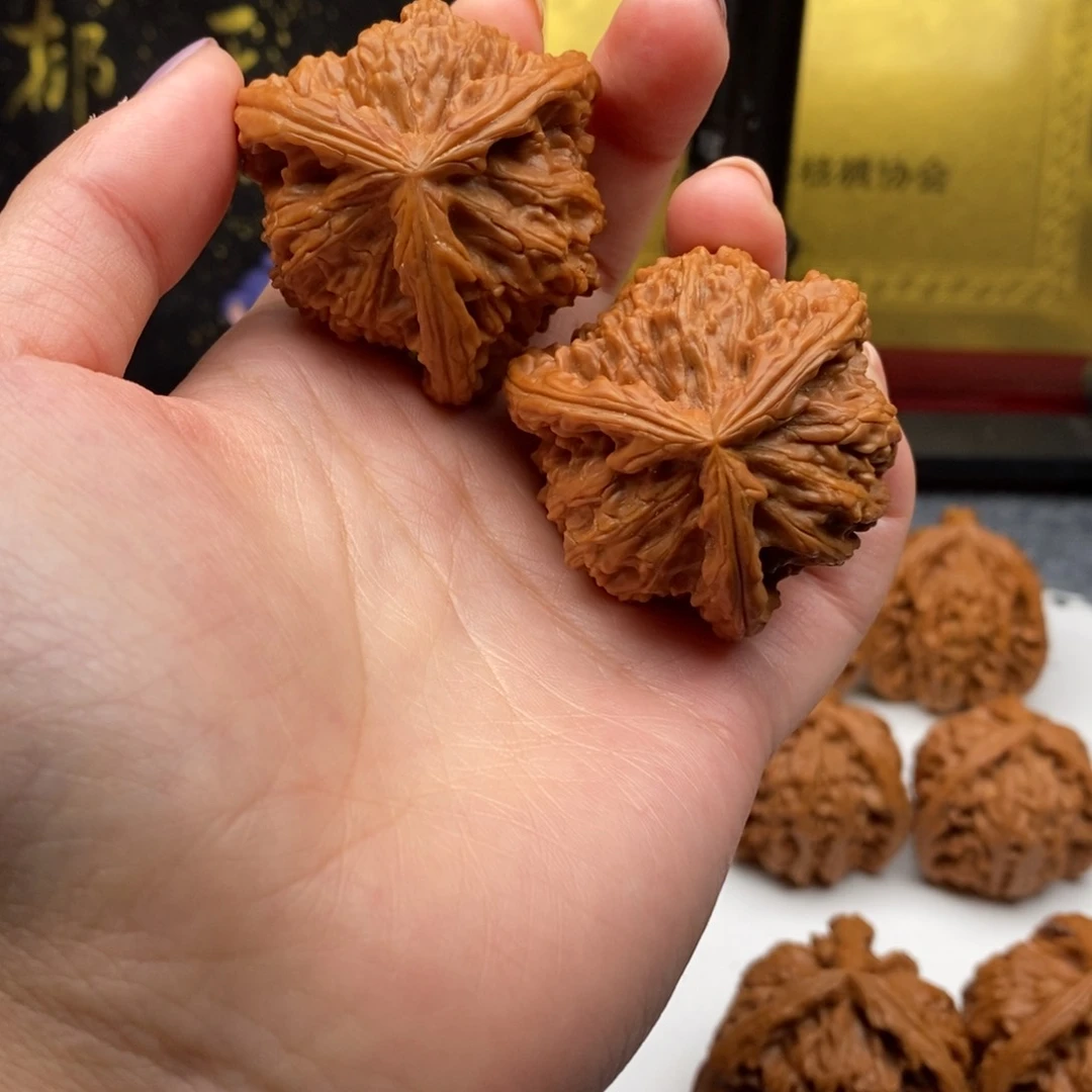 人*叔白狮子1111111