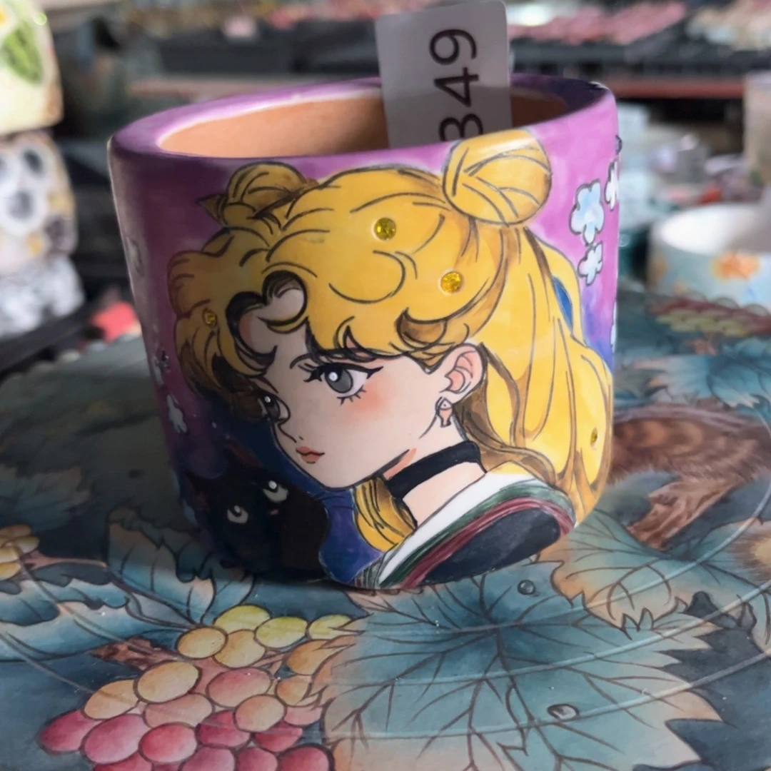 红陶奶**龙349花盆1个