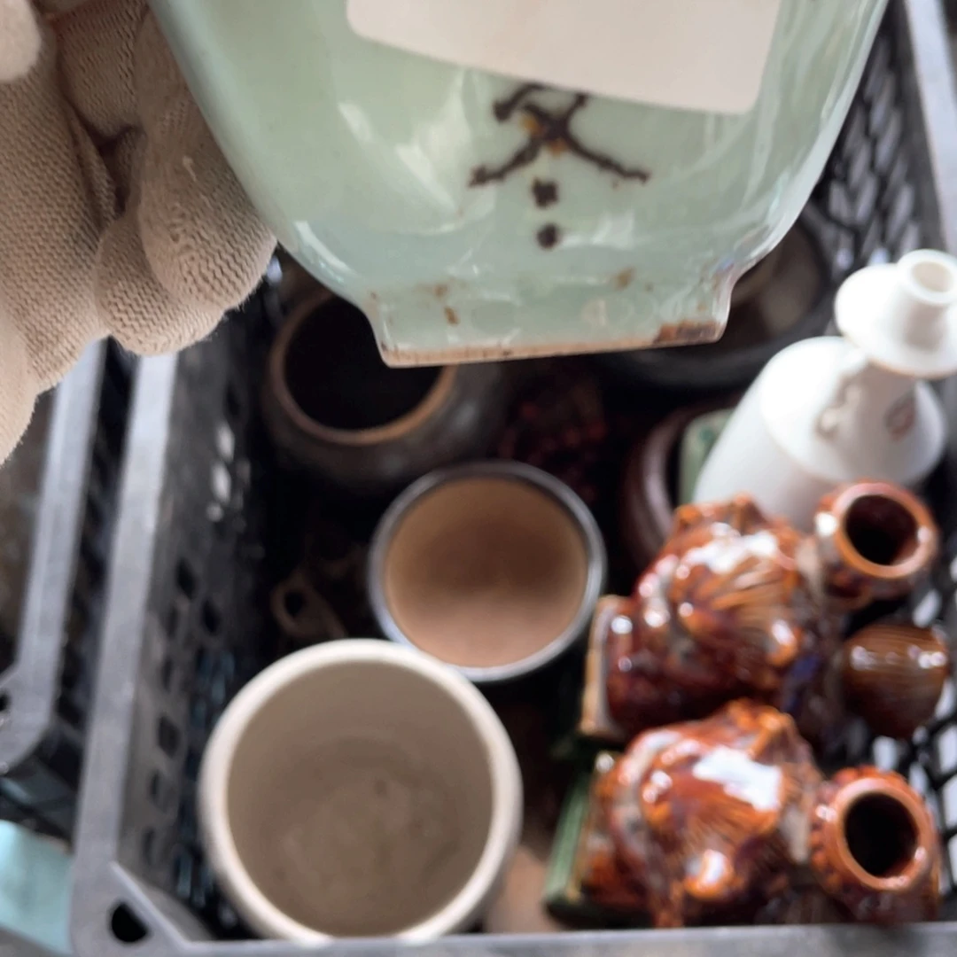 可****苗5566778826012