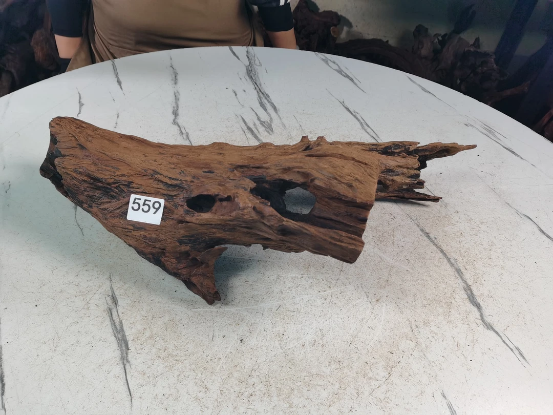 云南紫柚木沉木559