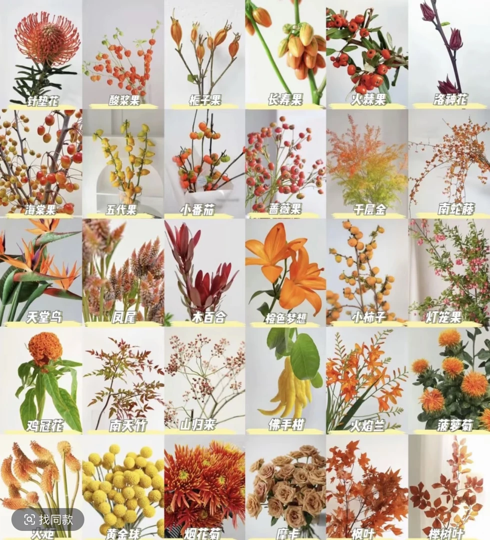 高级鲜花通用一物一拍