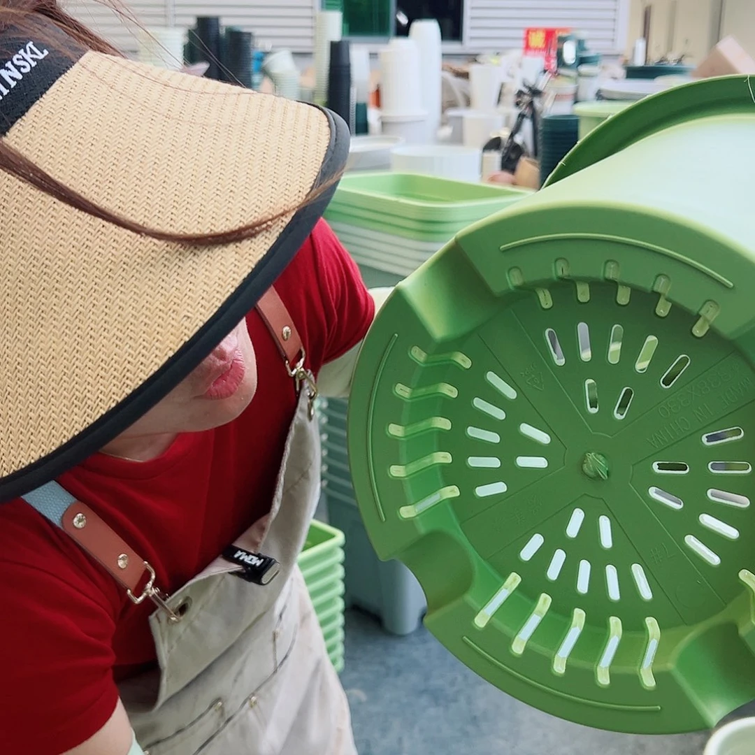 四季盆7#果绿色6个无托