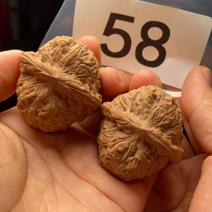 核桃58号，全品南瓜敦