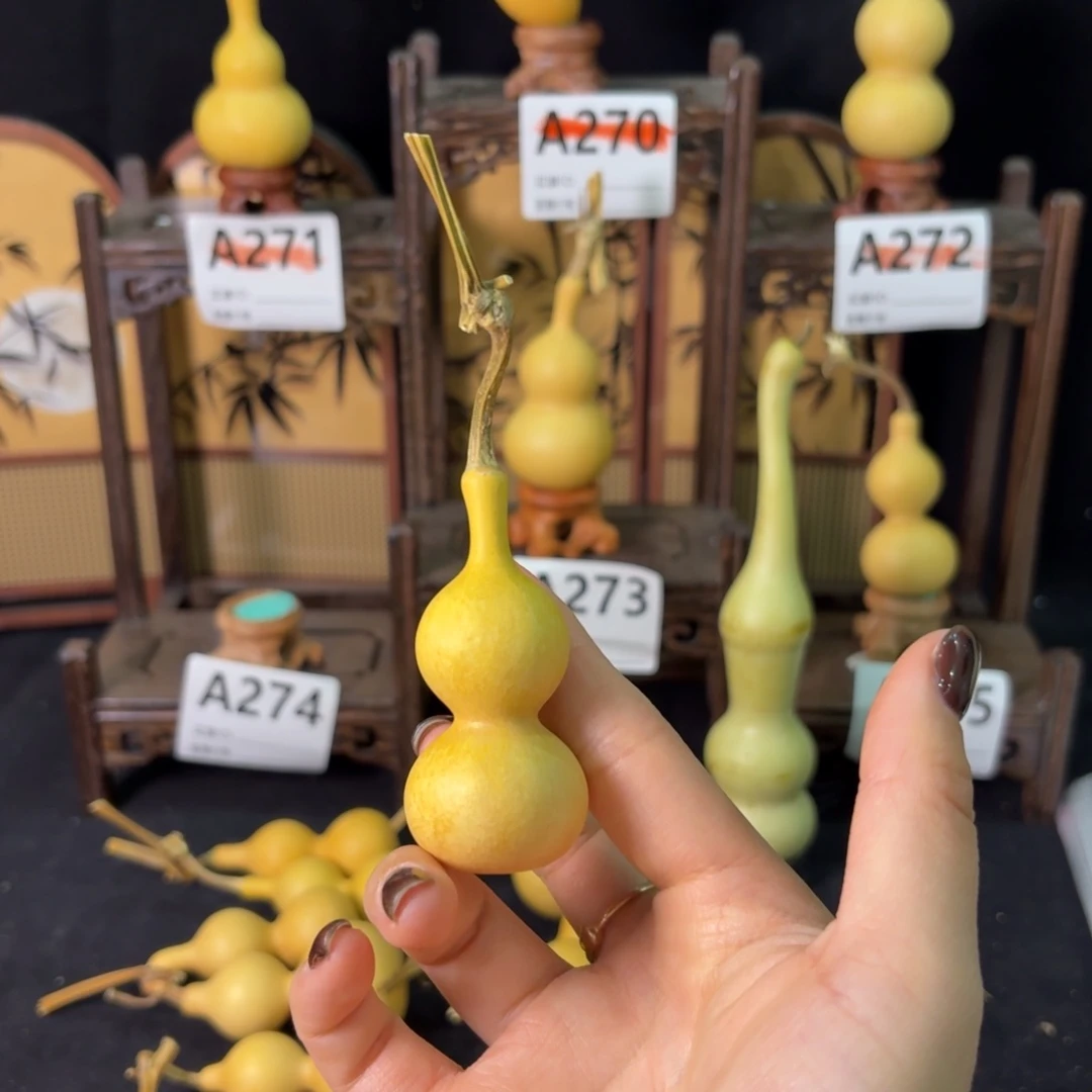 用***9我也不知道我为什么