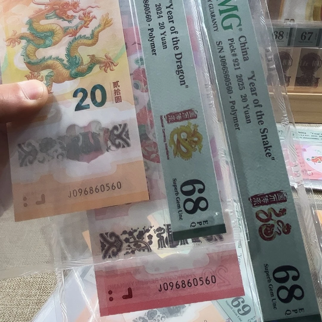 塑料龙蛇全同号096860560