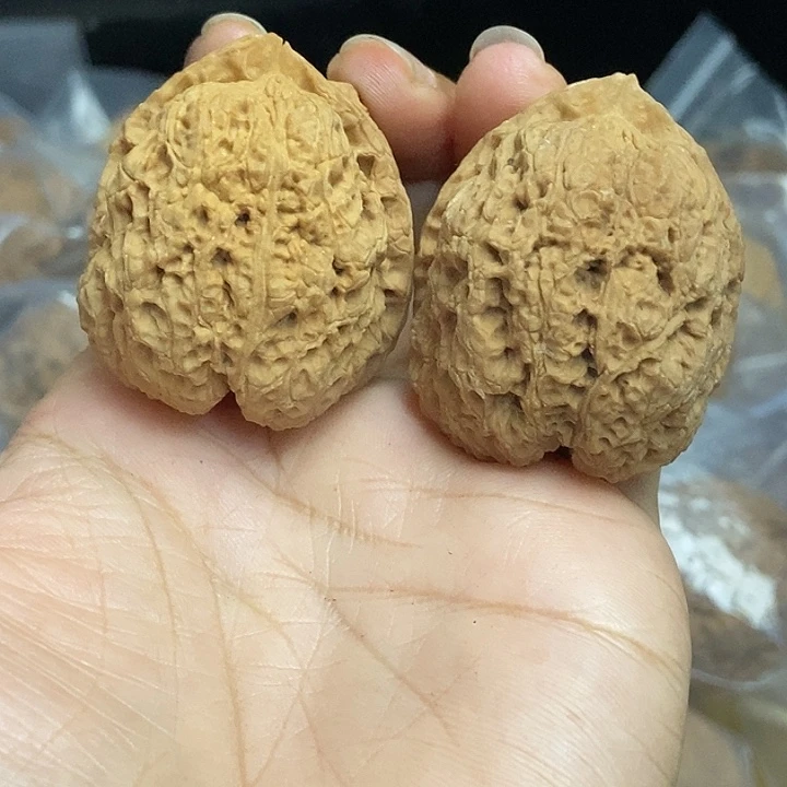 文玩核桃把件云南铁核桃基地60