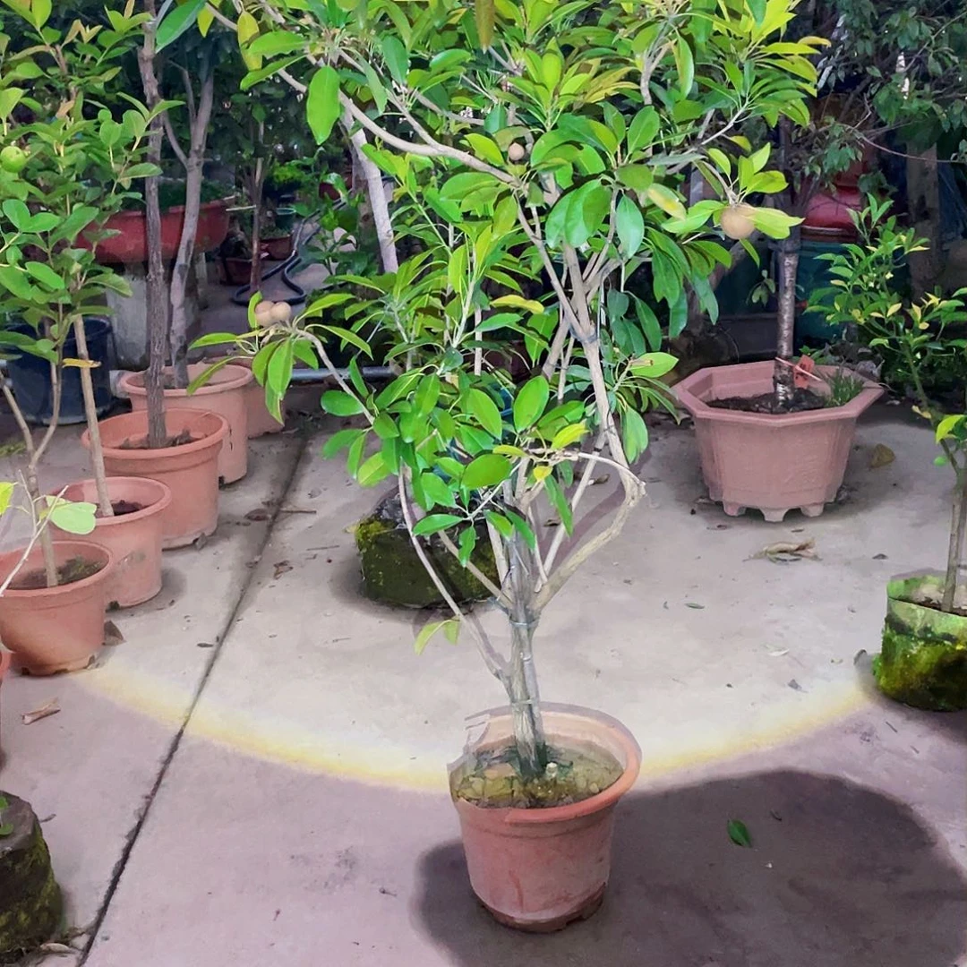 完全开放笔**场g m 8888888888