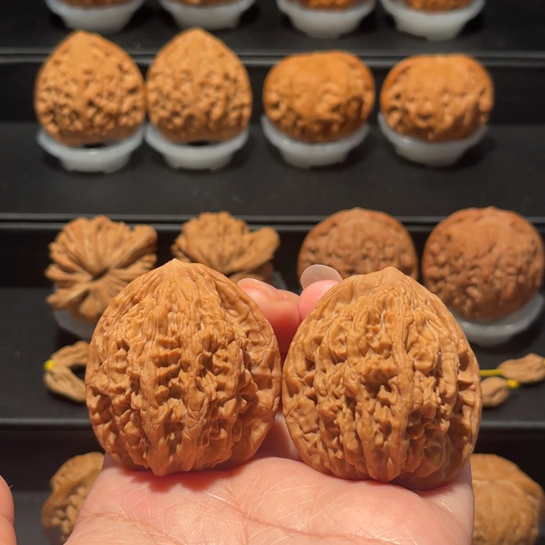 全品，精品41麦穗虎头206