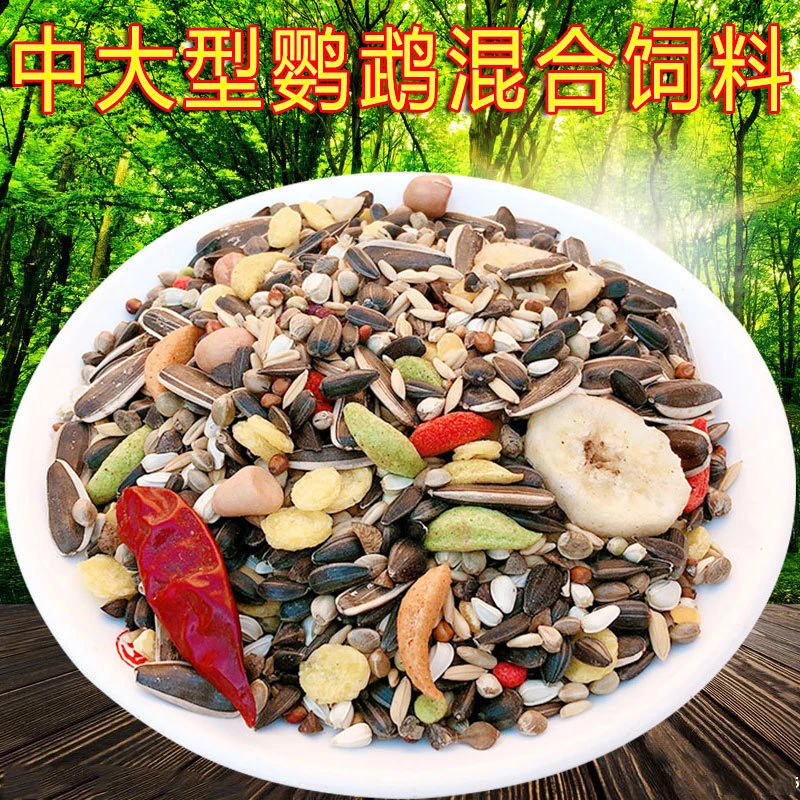 中大型小太阳金太阳和尚亚历绯胸灰鹦鹉折衷鹦鹉饲料鸟粮5斤包邮
