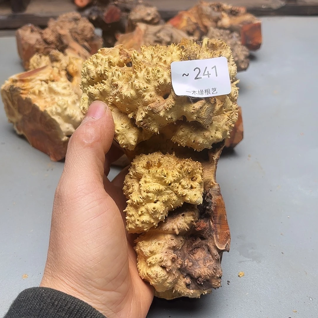 判***坊无花朵           241