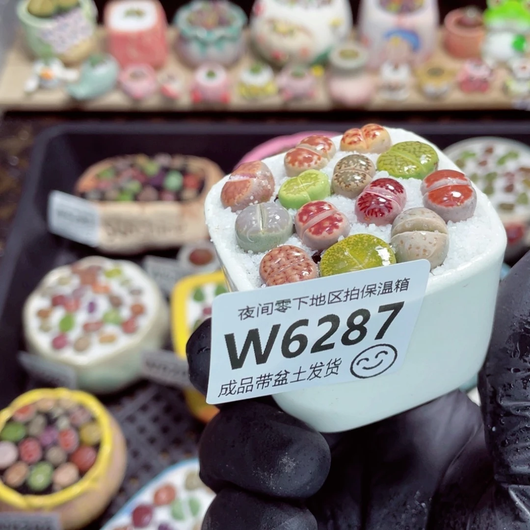 夜间零下地区拍保温箱w6287
