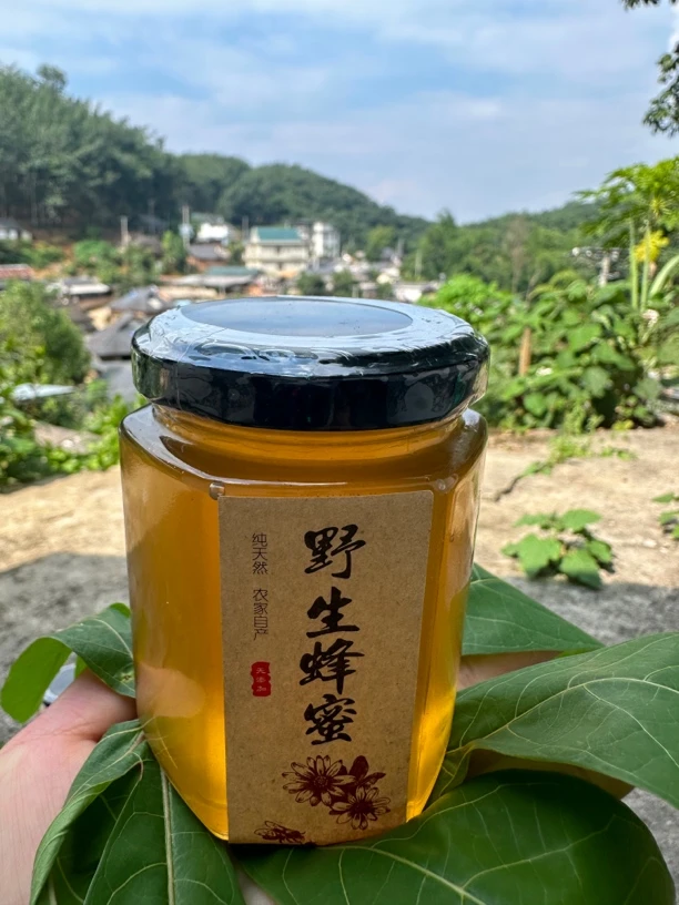 云南大挂蜂蜜树排蜂（500克）纯正天然蜂蜜深山百花蜜1斤