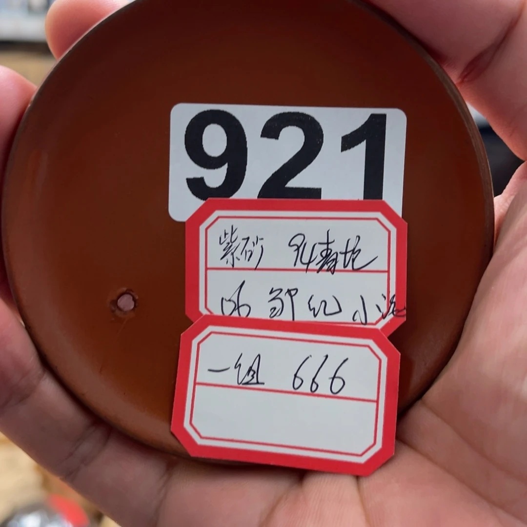 紫砂紫砂921……………………