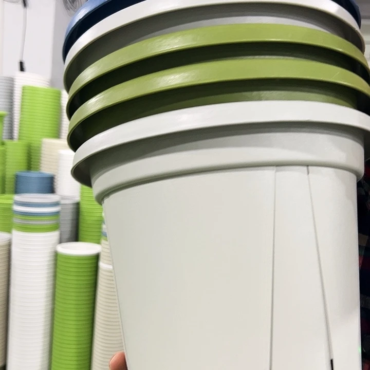 正品青山口32高28果绿色5个无托