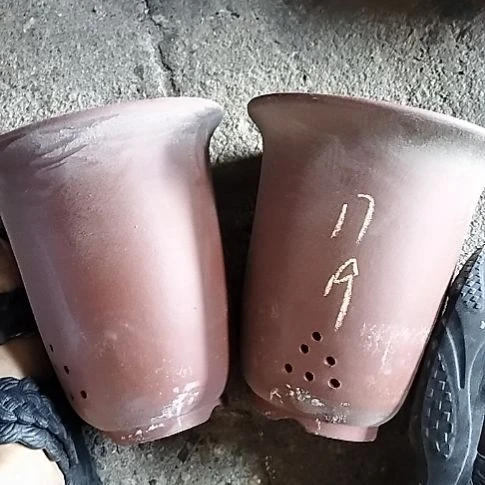 红泥小金钟两个花盆32