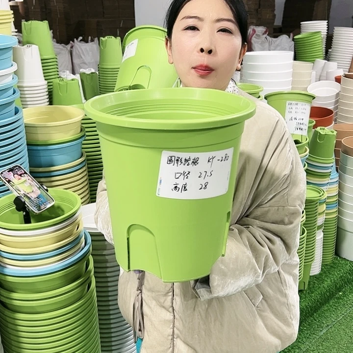 正品圆控口27.5高28果绿5只无托