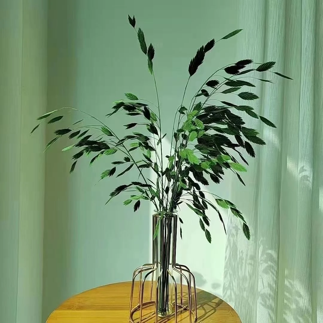 天然干花永生花小盼草网红气质花束家居装饰插花材