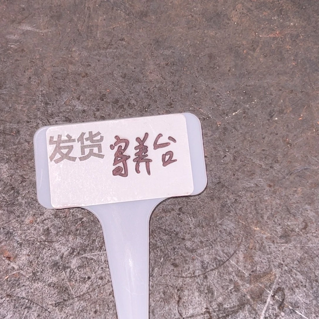 现***活寄养台15个月。