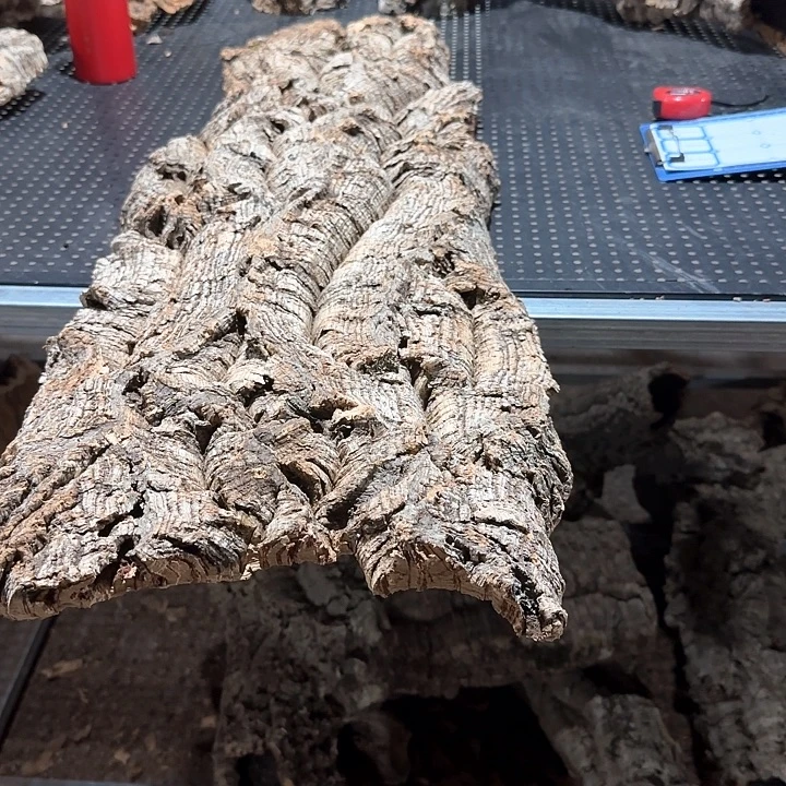 一***羊完全开放一物一拍一物一发