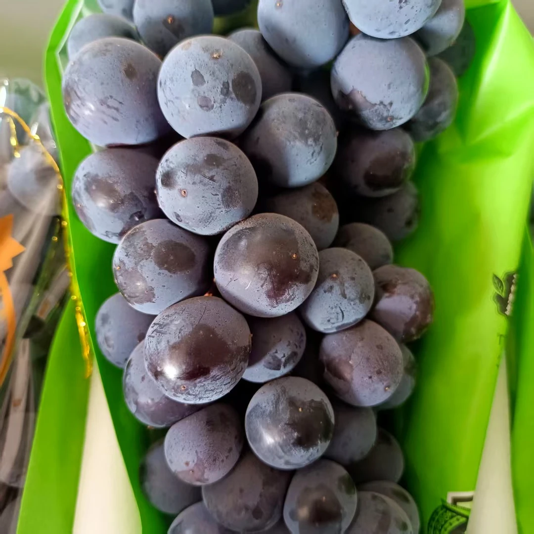 【直播浮力】阳光黑玫瑰葡萄脆甜4斤礼盒 顺丰包邮